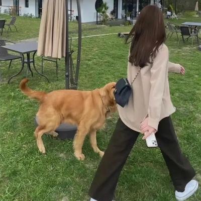 恐惧幻影